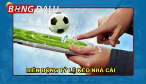 Sơ bộ về biến động kèo nhà cái là gì?